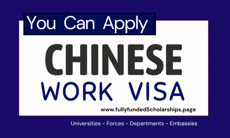 Chinese Work VISA 2023 Application Process and Fee Requirement